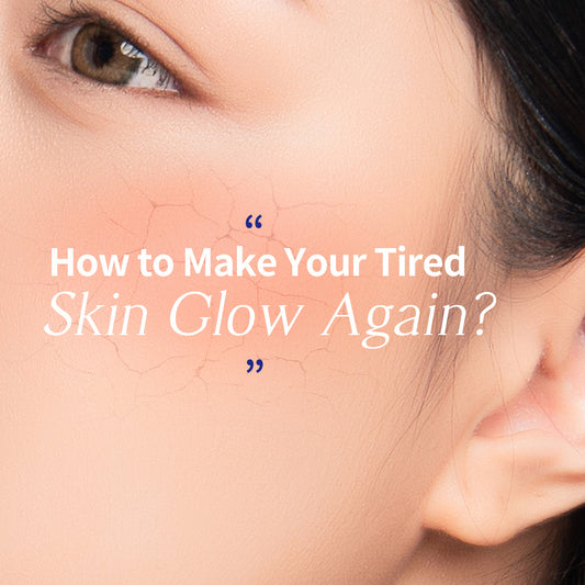 Dermaplus Birch Mask (10 Pack) - [brand_name]