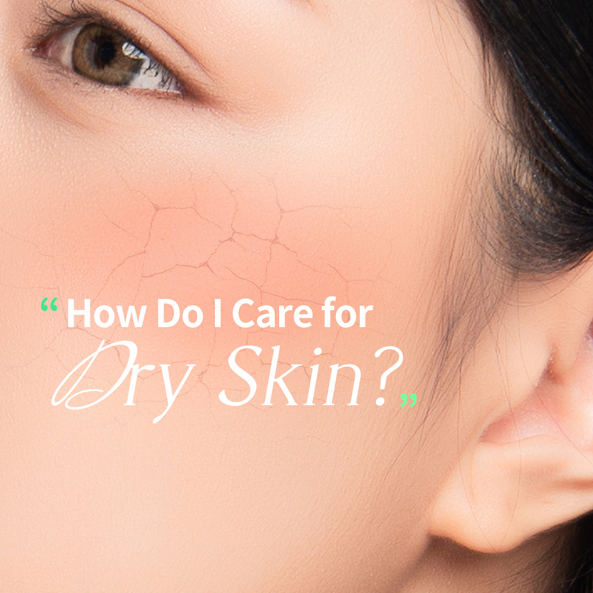 Dermaplus Aloe Mask (10 Pack) - [brand_name]