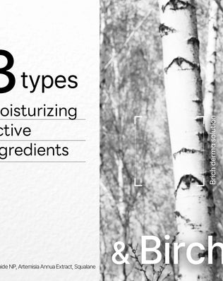 Dermaplus Birch Mask (10 Pack) - [brand_name]