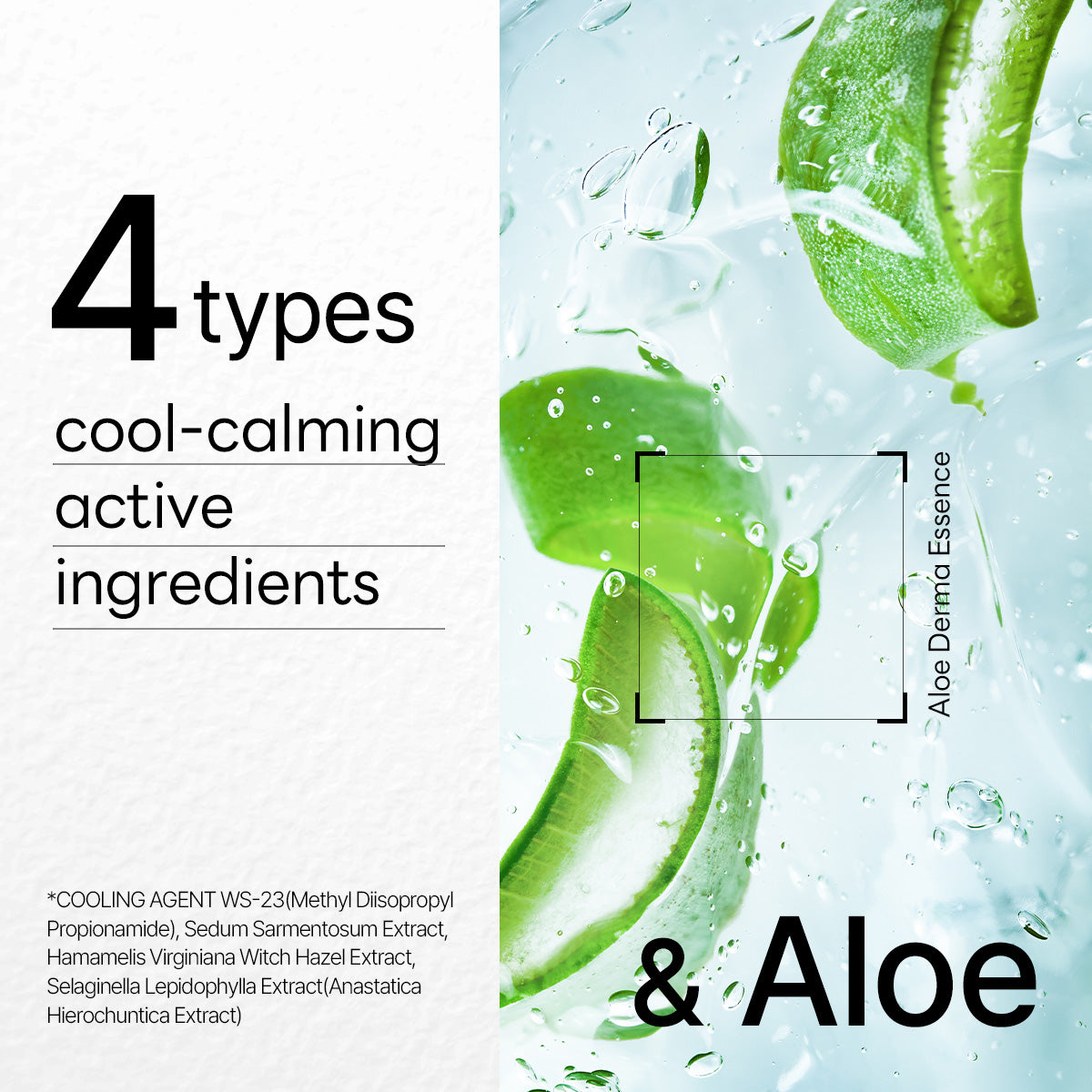 Dermaplus Aloe Mask (10 Pack) - [brand_name]