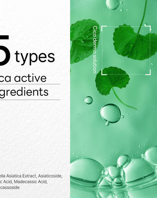 Dermaplus Cica Mask *10 sheets - [brand_name]