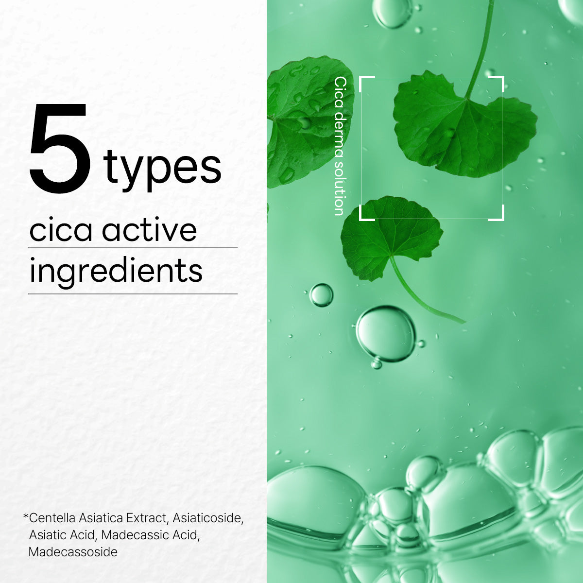 Dermaplus Cica Mask *10 sheets - [brand_name]