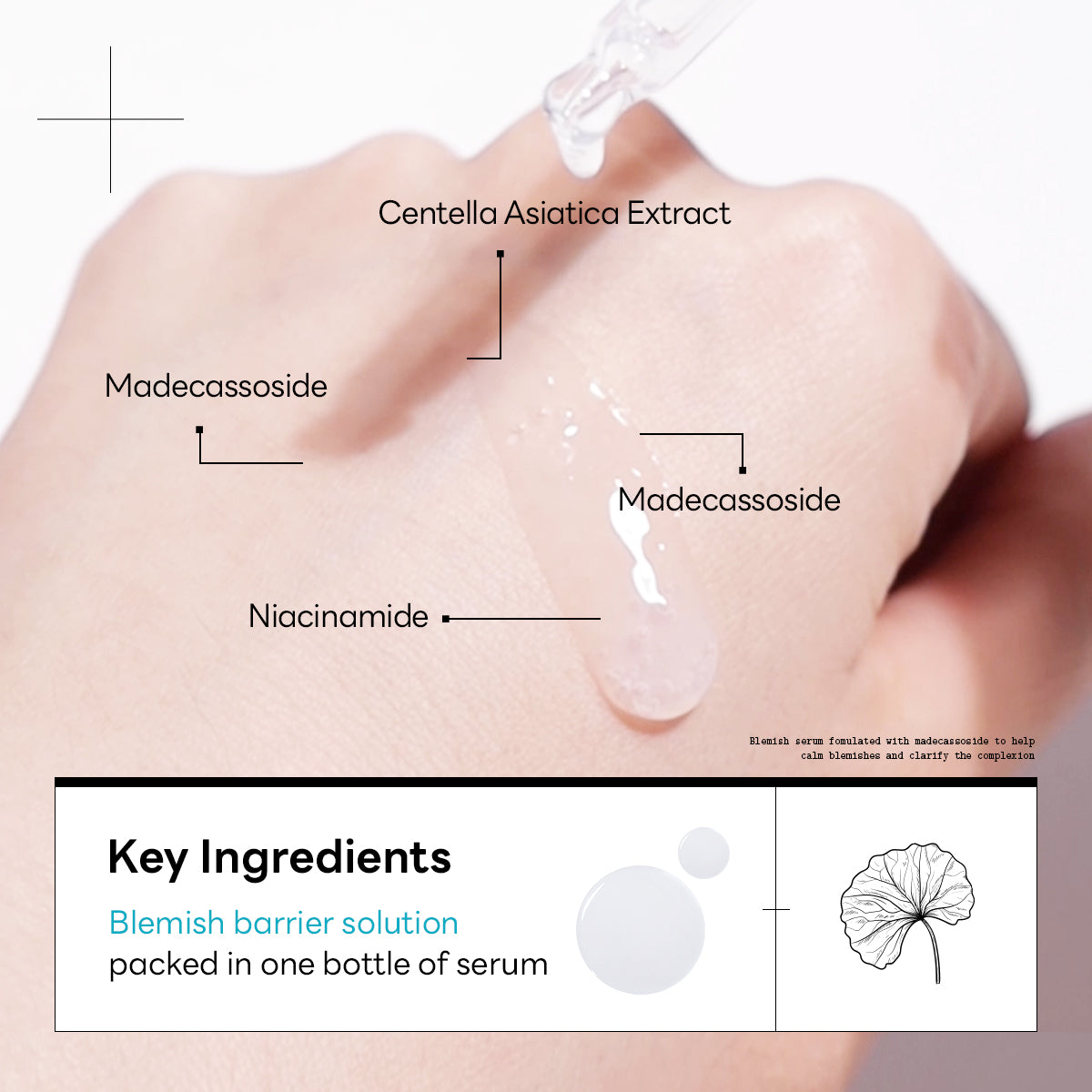 Madecassoside Blemish Repair Serum – Mediheal US