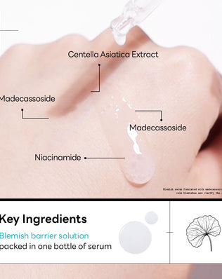 Madecassoside Blemish Repair Serum - [brand_name]