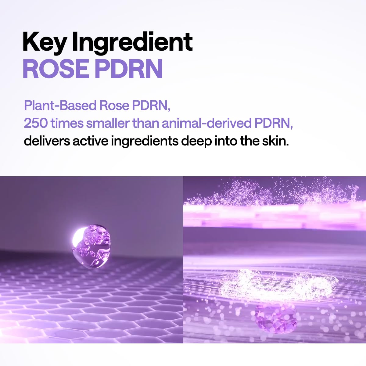 PDRN Lifting Pad