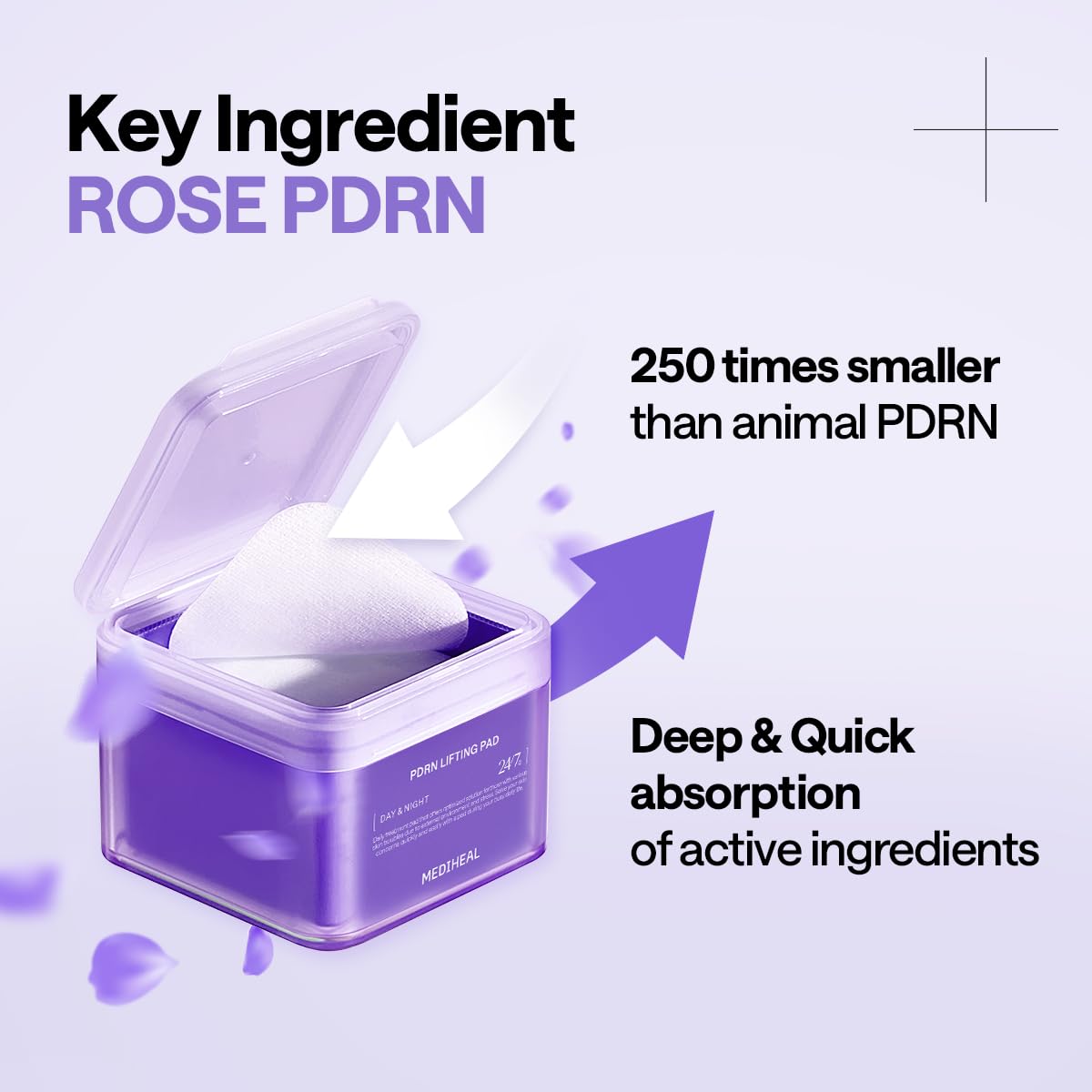 PDRN Lifting Pad