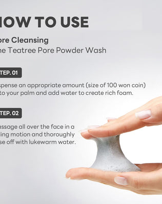 The Teatree Pore Powder Wash - [brand_name]