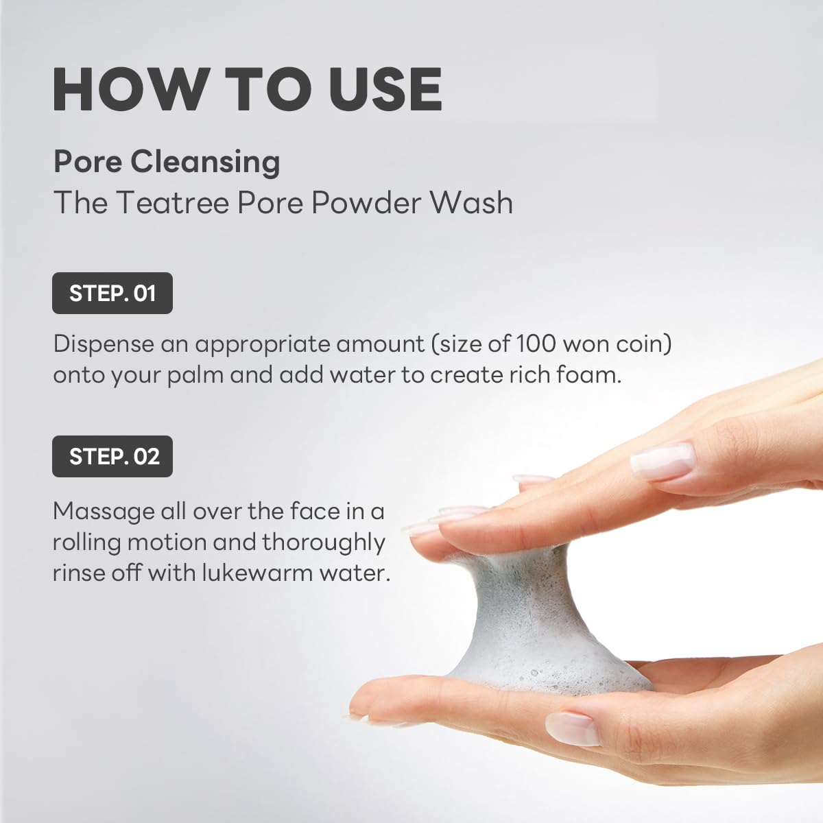 The Teatree Pore Powder Wash - [brand_name]