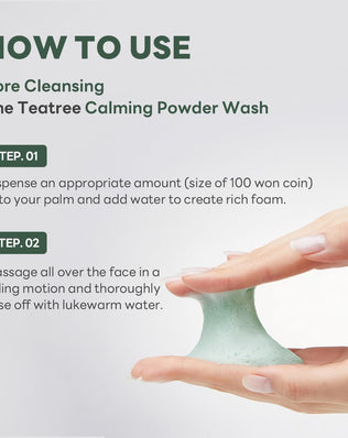 The Teatree Calming Powder Wash - [brand_name]