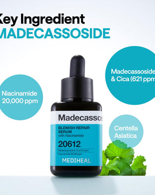 Madecassoside Blemish Repair Serum