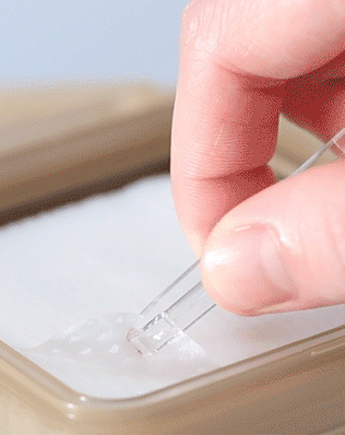 Retinol Collagen Lifting Pad - [brand_name]